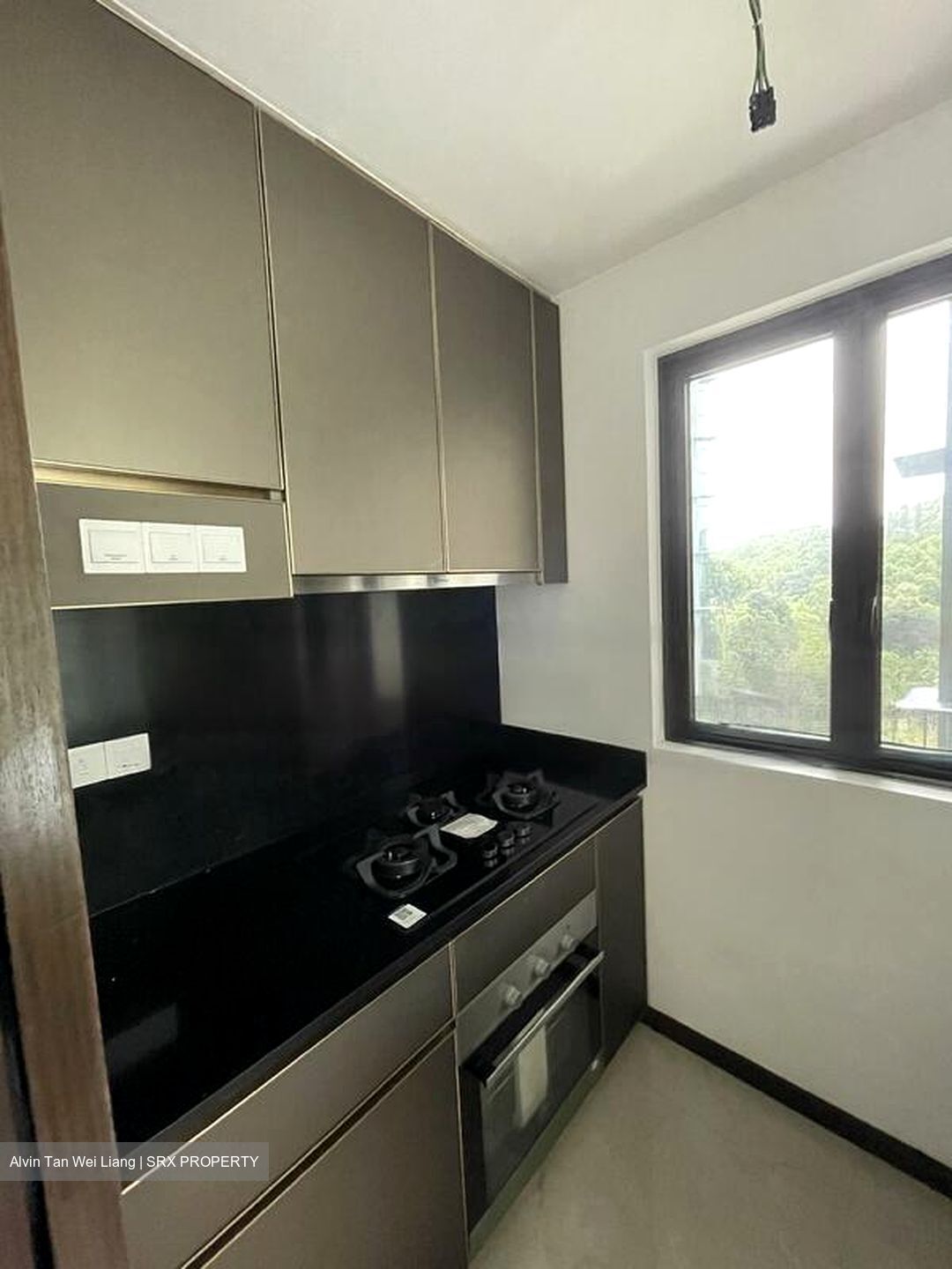 Normanton Park (D5), Apartment #453283501
